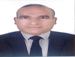 Mr/Ahmed Said Hassan